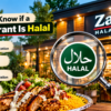 First-time diner checking halal restaurant information before ordering in Queens